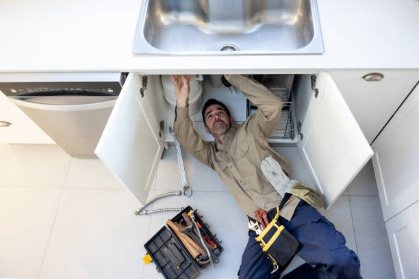 Best Local Plumber Services  in Roma, TX