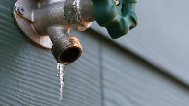 Best Drain Cleaning Services  in Roma, TX